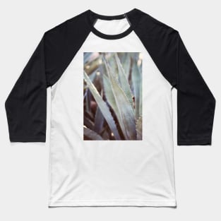 Winter Agave #3 Baseball T-Shirt